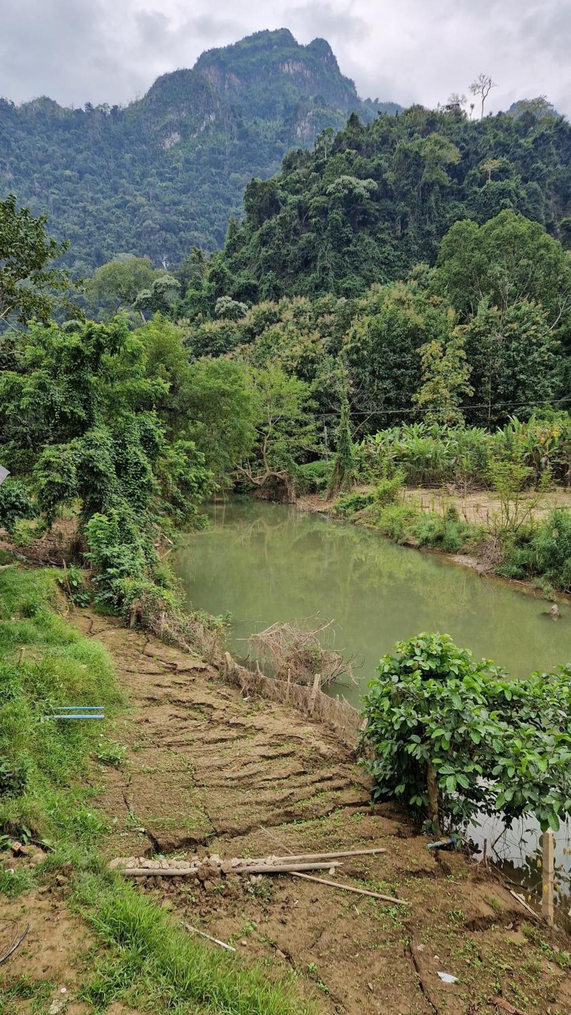 Eco Farm Stay And Hostel Nongkhiaw Dış mekan fotoğraf